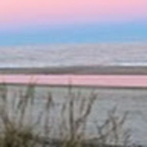 Meet your Posher, Katia